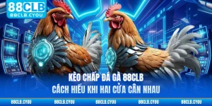 Kèo Chấp Đá Gà 88CLB - Cách Hiểu Khi Hai Cửa Cân Nhau